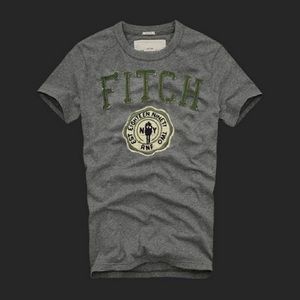 Abercrombie & Fitch Cold River Logo Grey Graphic Tee